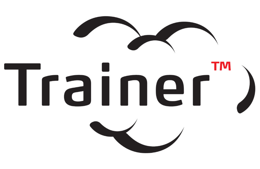 Trainer fire training smoke logo